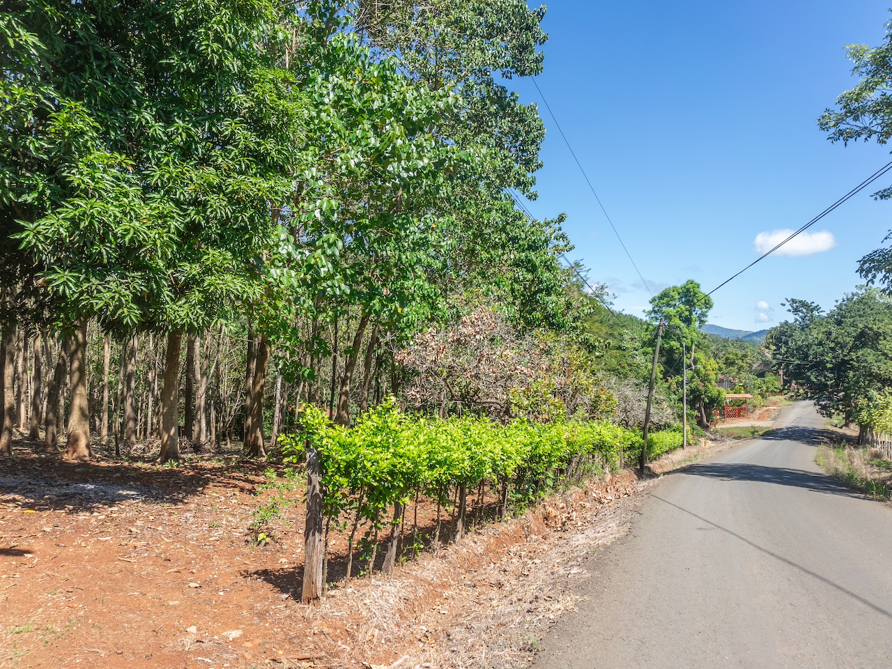 Highland Farm — San Pedro · Nandayure