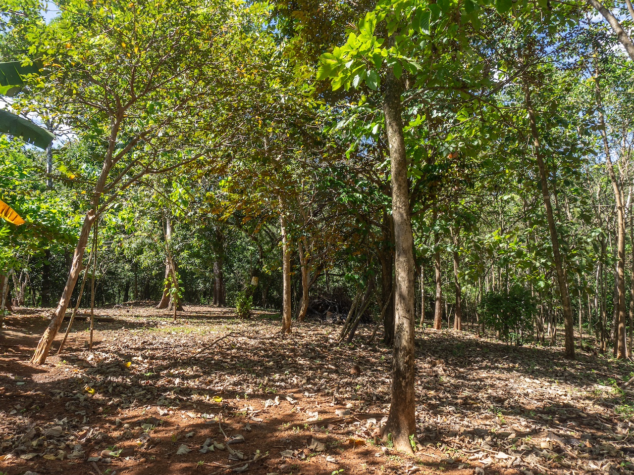 Finca en San Pedro — 7