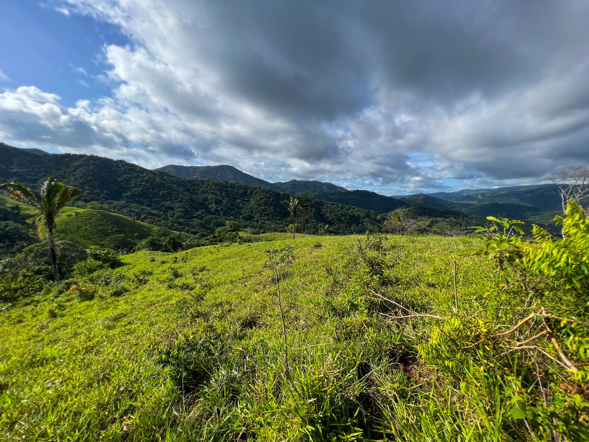 Ocean-View Farm — 1