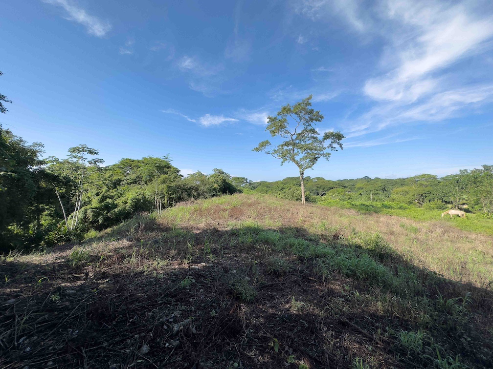 Sámara Woods Lot — 2