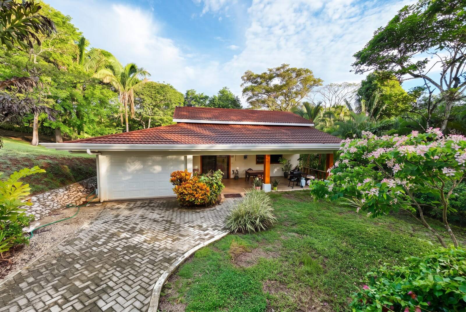 Tropical Eden — 3