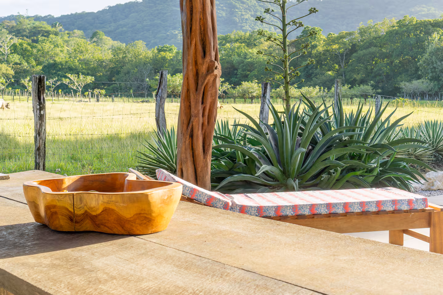 Sámara Sunshine Retreat — 4